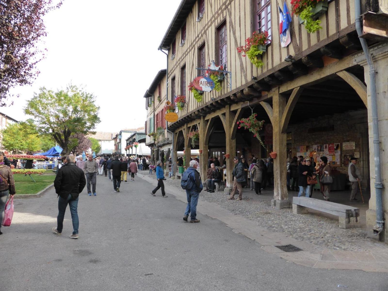Gite De La Bastide - Typique De Mirepoix Мирпуа Экстерьер фото